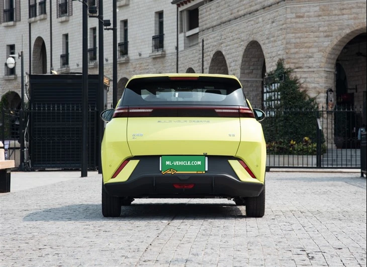 BYD Seagull