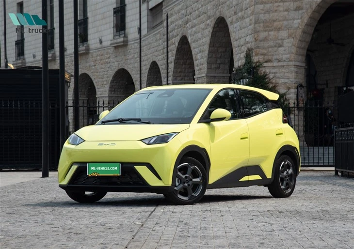 BYD Racek