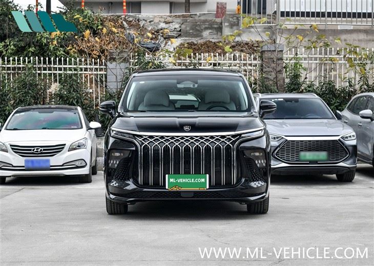 2024 DongFeng Forthing U-Tour V9 PHEV MPV