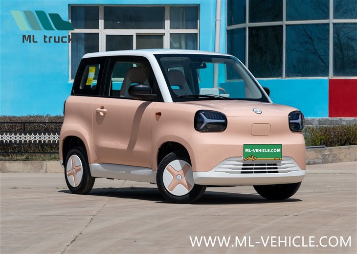 2024 ZHIDO Rainbow EV Car